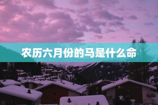 农历六月份的马是什么命