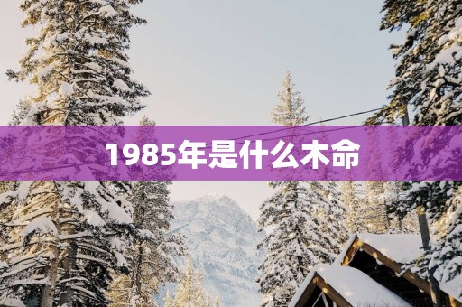 1985年是什么木命