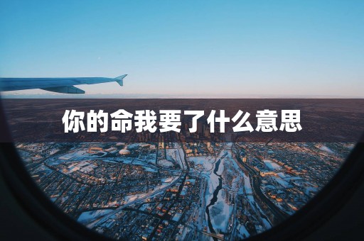 你的命我要了什么意思