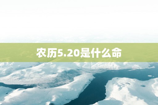 农历5.20是什么命