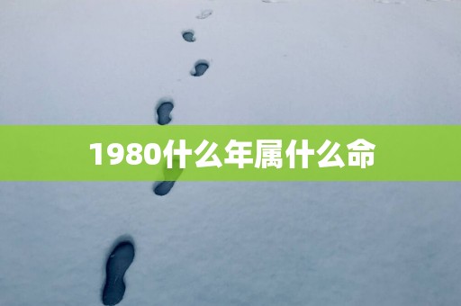 1980什么年属什么命