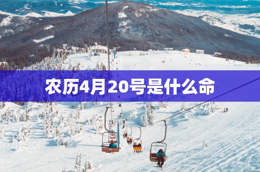 农历4月20号是什么命