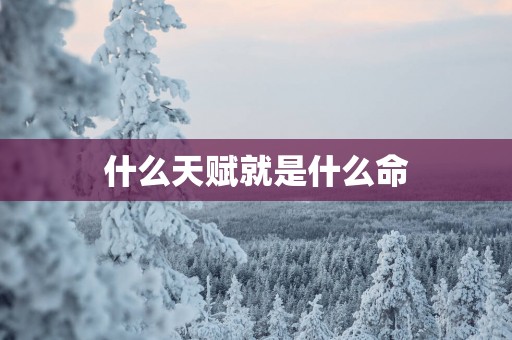 什么天赋就是什么命