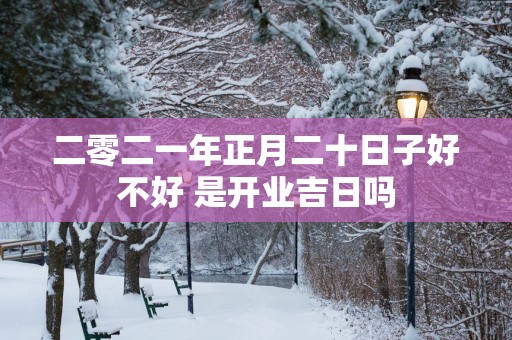 二零二一年正月二十日子好不好 是开业吉日吗