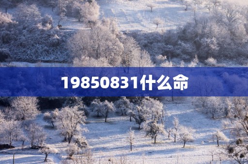 19850831什么命