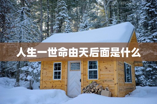 人生一世命由天后面是什么