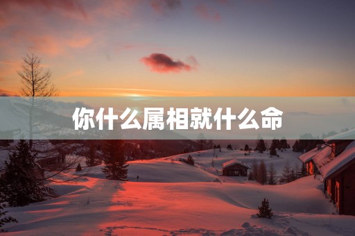 你什么属相就什么命