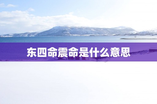 东四命震命是什么意思