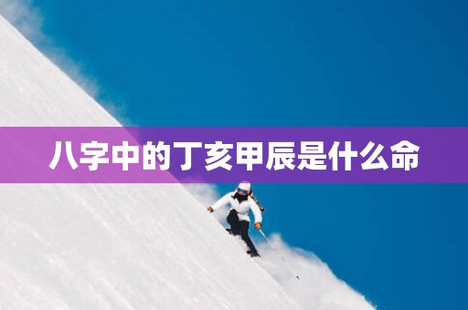 八字中的丁亥甲辰是什么命