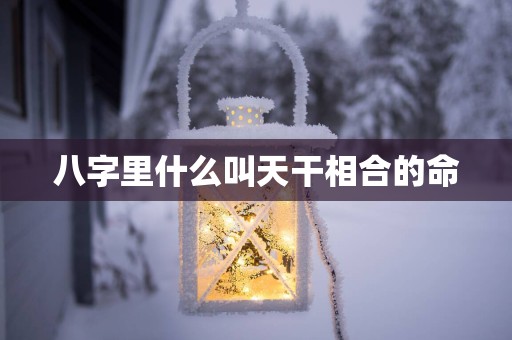 八字里什么叫天干相合的命