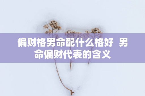 偏财格男命配什么格好  男命偏财代表的含义