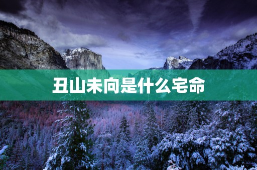 丑山未向是什么宅命