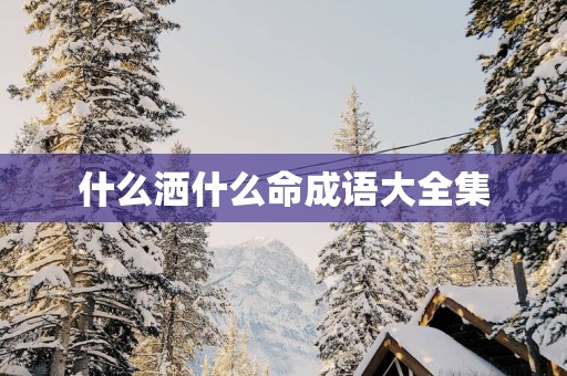什么洒什么命成语大全集