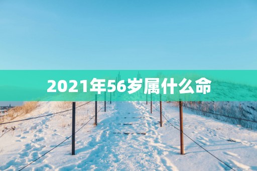 2025年56岁属什么命