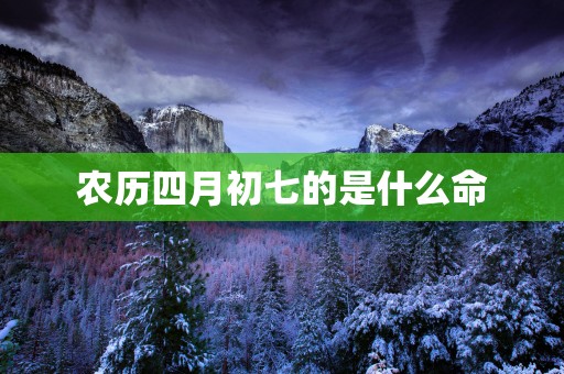 农历四月初七的是什么命