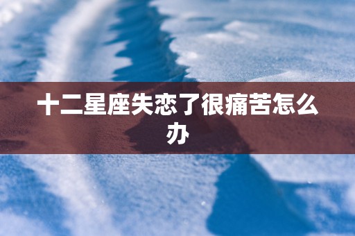 十二星座失恋了很痛苦怎么办 十二星座失恋了很痛苦怎么办