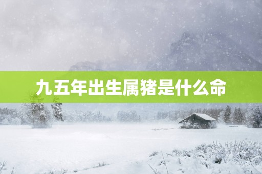 九五年出生属猪是什么命
