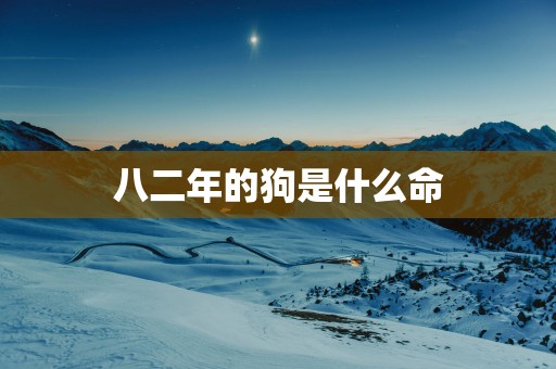 八二年的狗是什么命