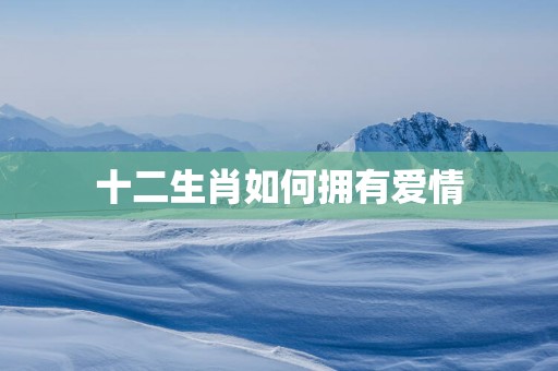 十二生肖如何拥有爱情