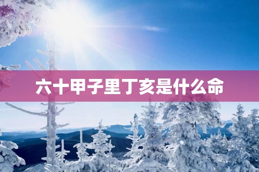 六十甲子里丁亥是什么命