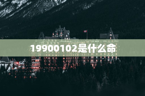19900102是什么命
