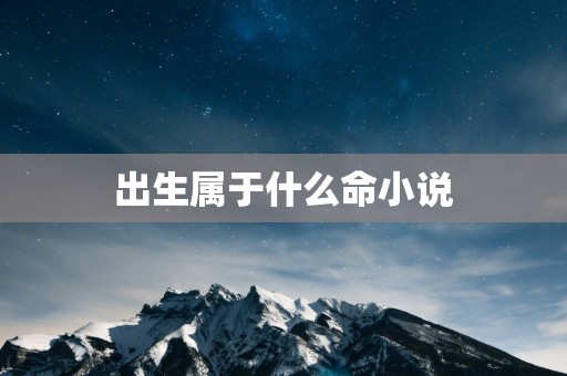 出生属于什么命小说