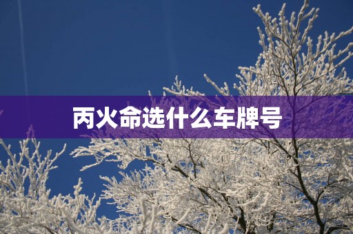丙火命选什么车牌号