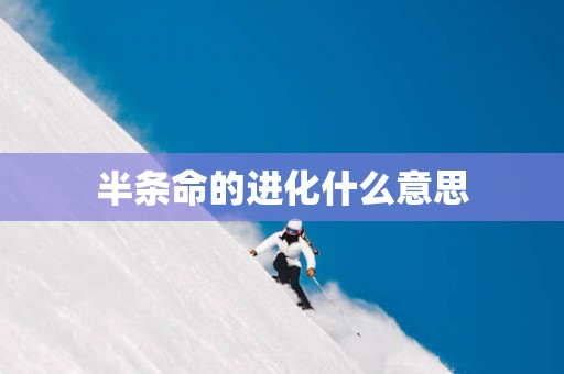 半条命的进化什么意思