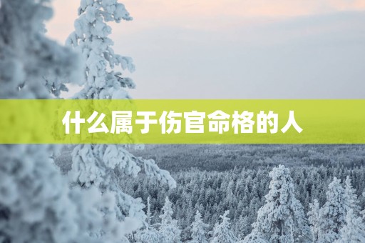 什么属于伤官命格的人