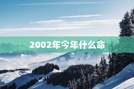 2002年今年什么命