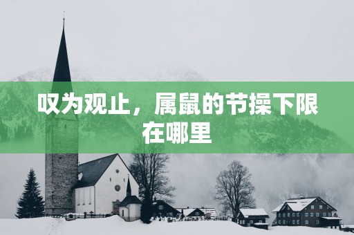 叹为观止，属鼠的节操下限在哪里