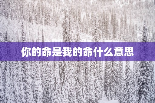 你的命是我的命什么意思