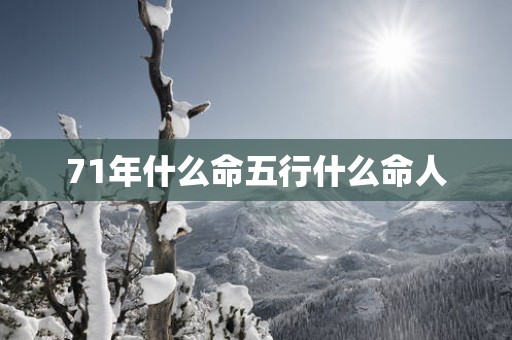 71年什么命五行什么命人