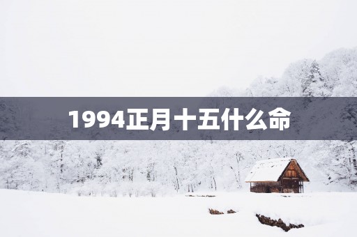 1994正月十五什么命