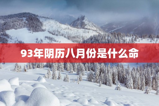 93年阴历八月份是什么命