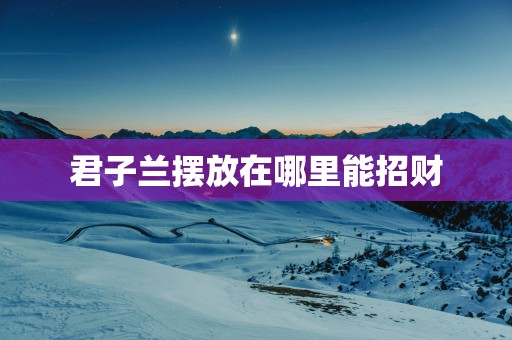 君子兰摆放在哪里能招财