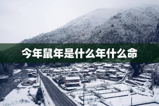 今年蛇年是什么年什么命 今年蛇年是什么年什么命