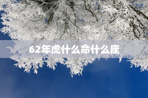 62年虎什么命什么座