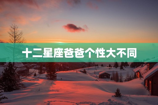 十二星座爸爸个性大不同