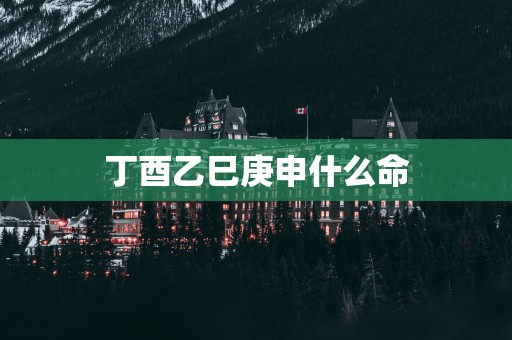 丁酉乙巳庚申什么命