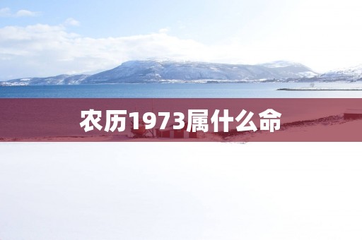 农历1973属什么命