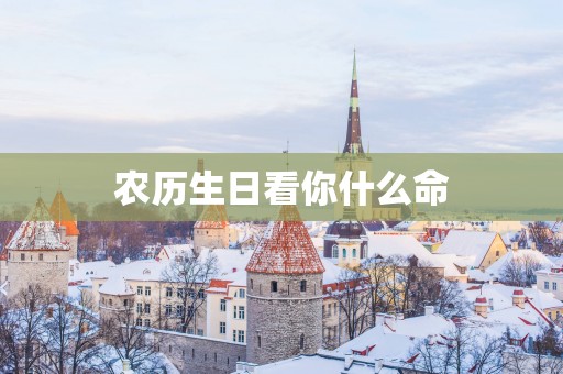 农历生日看你什么命