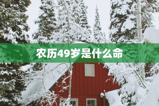 农历49岁是什么命