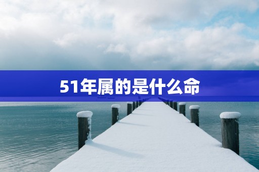 51年属的是什么命