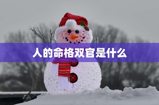 人的命格双官是什么