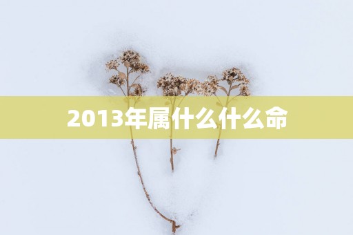 2013年属什么什么命