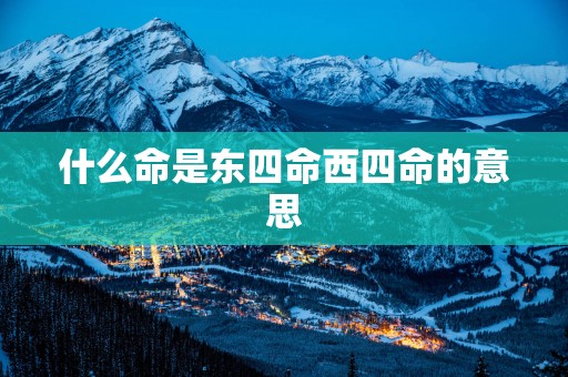 什么命是东四命西四命的意思