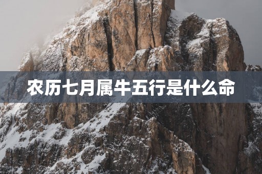 农历七月属牛五行是什么命