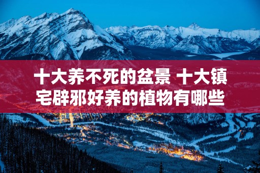 十大养不死的盆景 十大镇宅辟邪好养的植物有哪些