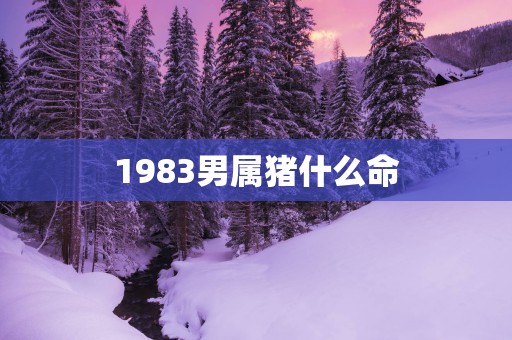 1983男属猪什么命